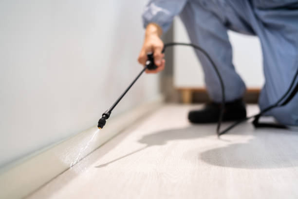 Licensed Pest Control service in Guymon, OK - Show Me Pest Control